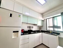 Blk 1D The Pinnacle@Duxton (Bukit Merah), HDB 5 Rooms #432332391